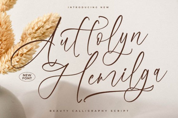 Auttolyn Hemilga: The Font That Speaks to Your Audience