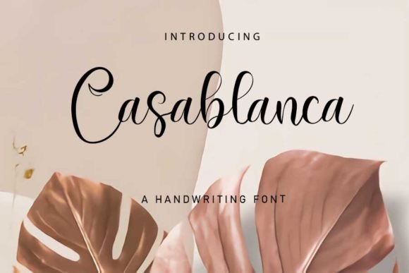 Casablanca: A Strategic Typography Choice for Modern Campaigns