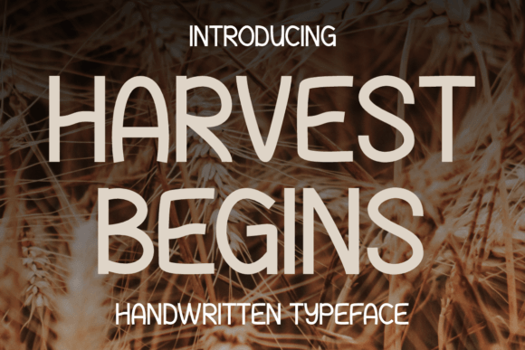 Harvest Begins: A Typeface That Crafts Warm Brand Narratives