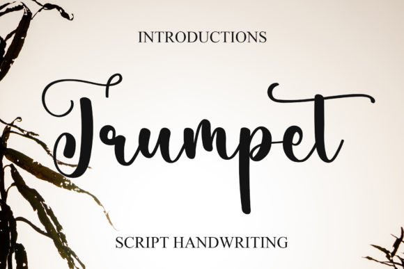 Trumpet: A Dainty Script Font for Elegant Digital Design